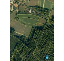Waldstück mit 820m² in der Nähe vom Drosendorf - Eggolsheim