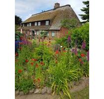 Erdgeschosswohnung - 380,00&nbsp;EUR Kaltmiete, ca.&nbsp; 56,40&nbsp;m&sup2; in Bredstedt (PLZ: 25821)