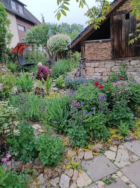 Foto - Einfamilienhaus in Dransfeld zum Kaufen