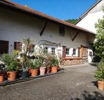 Bauernhof - ein Pferdeparadies mit 3,4 ha arrondierter Weide - Lauterecken