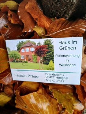 Foto - Ferienwohnung Brauer in Holtgast bei EsensBensersiel