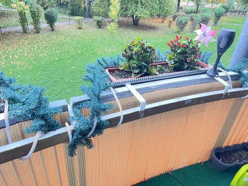 Foto - Nach Mieter Wohnung. Kaltmiete (289,49)€