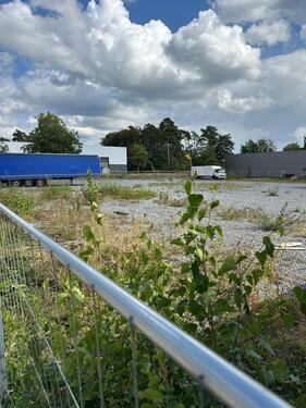 Foto - Grundst&uuml;ck in Schloß Holte-Stukenbrock