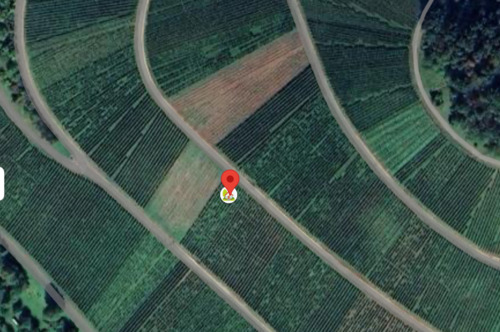 Foto - Weinberg mit Trollinger-Reben zur Pacht – 1.031 m²