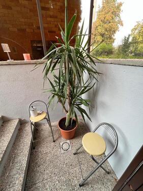 Foto - Etagenwohnung zur Miete in Landshut