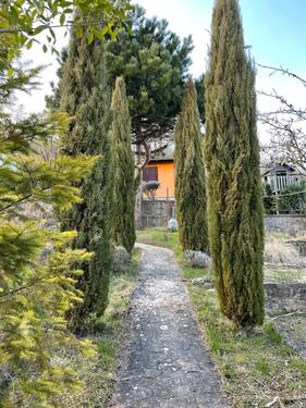 Foto - Grundst&uuml;ck in Sangerhausen zur Miete