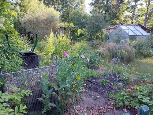 Foto - Grundst&uuml;ck zur Miete in Dresden