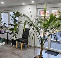 Wohnung in Bexbach nach Renovierung.