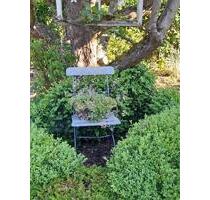 Idyllischer Garten in Hannoversch Münden, OT Wiershausen - Hann. Münden