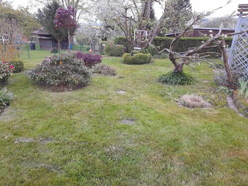 Foto - Grundstück in Hann. Münden