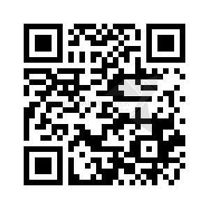 Foto - 4 Zimmer Dachgeschoßwohnung zur Miete in Zwickau