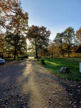 Foto - 2ZKB Wohnung mit Terrasse- sep. Eingang- auf ruhigem Anwesen
