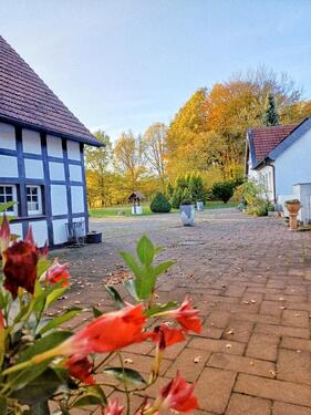 Foto - Etagenwohnung zur Miete in Bünde