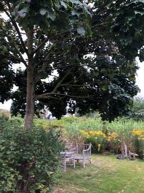 Foto - Grundstück in Hannover