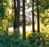 See-Haus, 115qm, Garten, Sauna, DoppelCarport, Terrasse, Teich - Werder (Havel)