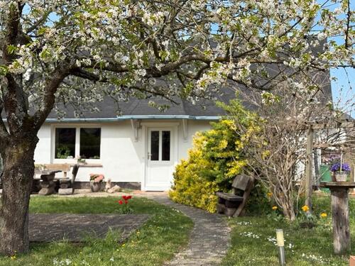 Foto - andere in Petershagen/Eggersdorf