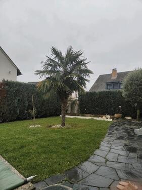 Foto - 2Zimmer in Vallendar - 670,00&nbsp;EUR Kaltmiete, ca.&nbsp; 46,00&nbsp;m&sup2;