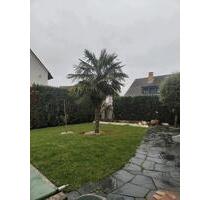 2Zimmer in Vallendar - 670,00&nbsp;EUR Kaltmiete, ca.&nbsp; 46,00&nbsp;m&sup2; in Vallendar (PLZ: 56179)