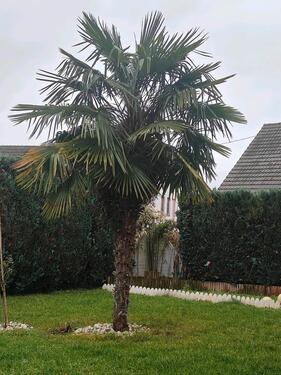 Foto - 2 Zimmer Etagenwohnung zur Miete in Vallendar