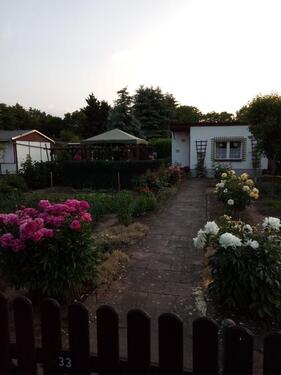 Foto - Pachtgarten, 1.Merseburger Kleingartenverein Nord e.V