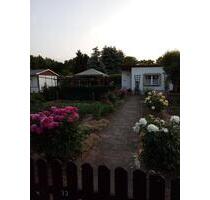 Pachtgarten, 1.Merseburger Kleingartenverein Nord e.V