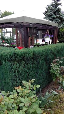 Foto - Grundst&uuml;ck zur Miete in Merseburg