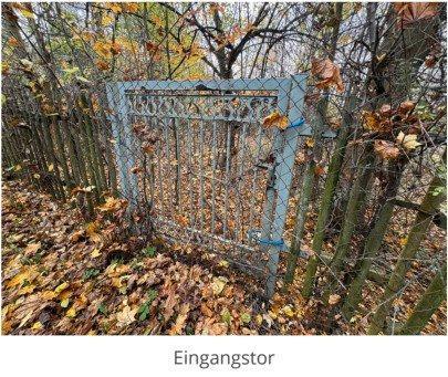 Foto - Grundst&uuml;ck zur Miete in Sebnitz