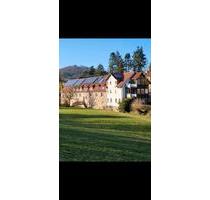 Zu vermieten! Moderner Erstbezug 75qm nach Kernsanierung - Naumburg