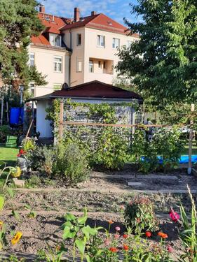 Foto - Sehr gepflegter Kleingarten in Dölzschen abzugeben