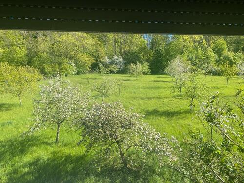 Foto - Mietwohnung - 700,00&nbsp;EUR Kaltmiete, ca.&nbsp; 80,00&nbsp;m&sup2;