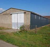 Geräumige Lagerhalle - 800,00&nbsp;EUR Kaltmiete, ca.&nbsp; 1,70&nbsp;m&sup2; in Jüterbog (PLZ: 14913)