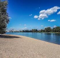 2 Zimmer Möblierte Wohnung (befristet für 12 Monate) - Ludwigshafen am Rhein Parkinsel