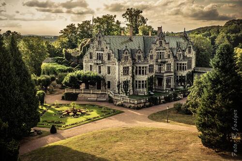 Foto - Mitbewohnerin für neue WG ü 50 Haus oder Wohnung