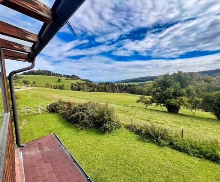 Foto - großzügige 4-Zi-Wohnung in ruhiger Lage perfekt für Haustiere