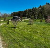 Einfamilienhaus in Alleinlage — ehem. Mühle mit 4,5 ha - Simmern/Hunsrück