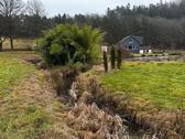 Foto - Einfamilienhaus zum Kaufen in Simmern/Hunsrück