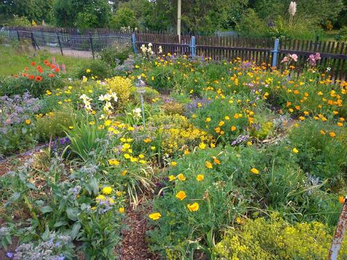 Foto - Grundst&uuml;ck zur Miete in Landsberg