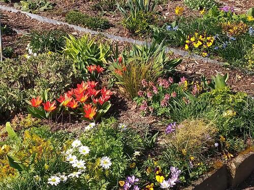 Foto - Grundst&uuml;ck in Landsberg