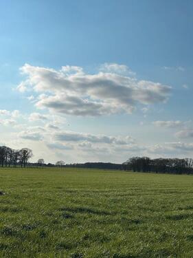 Foto - 5 Zimmer Etagenwohnung zur Miete in Eschweiler