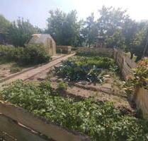 Kleingarten in WETTMERSHAGEN mit Strom und Wasser!!! - Wolfsburg Ehmen