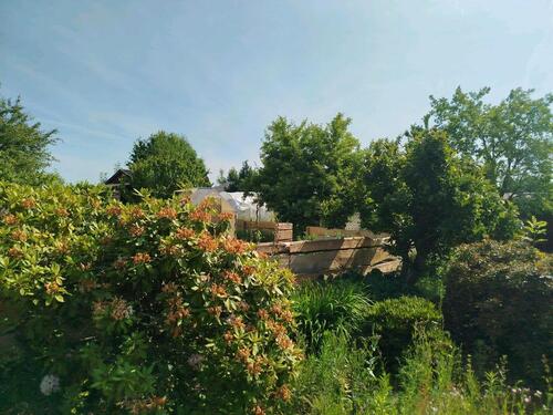 Foto - Grundst&uuml;ck zur Miete in Wolfsburg