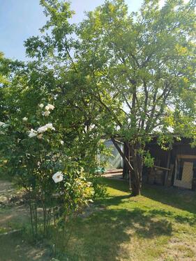 Foto - Grundst&uuml;ck in Wolfsburg zur Miete