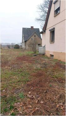 Foto - Einfamilienhaus in Güsten