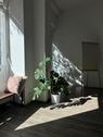 Foto - Ein wunderschönes, grünes Büro Meeting Space in Berlin Mitte - All-in-Miete