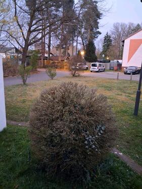 Foto - zu Vermieten - 30,00&nbsp;EUR Miete,