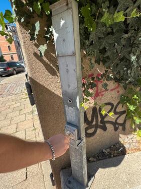 Foto - andere in Dresden