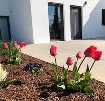 Möblierte Einliegerwohnung mit Terrasse & Garten – ruhige Lage - Königstein