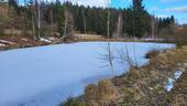 Foto - Weiher Teich zu verpachten Gebiet TröstauWeißenstadt