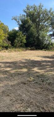 Foto - andere zur Miete in Ginsheim-Gustavsburg