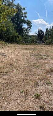 Foto - andere in Ginsheim-Gustavsburg